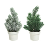 Decoris Mini Tree in Pot 20cm - 2 Assorted